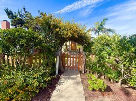 featured image of 528 N Maria Ave