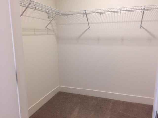 1595 Pacific Ave #307 - Photo 7 of 19