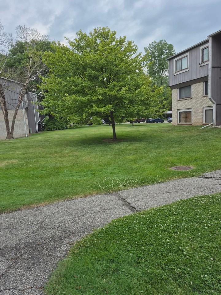 29860 W.Mile - Photo 5 of 36