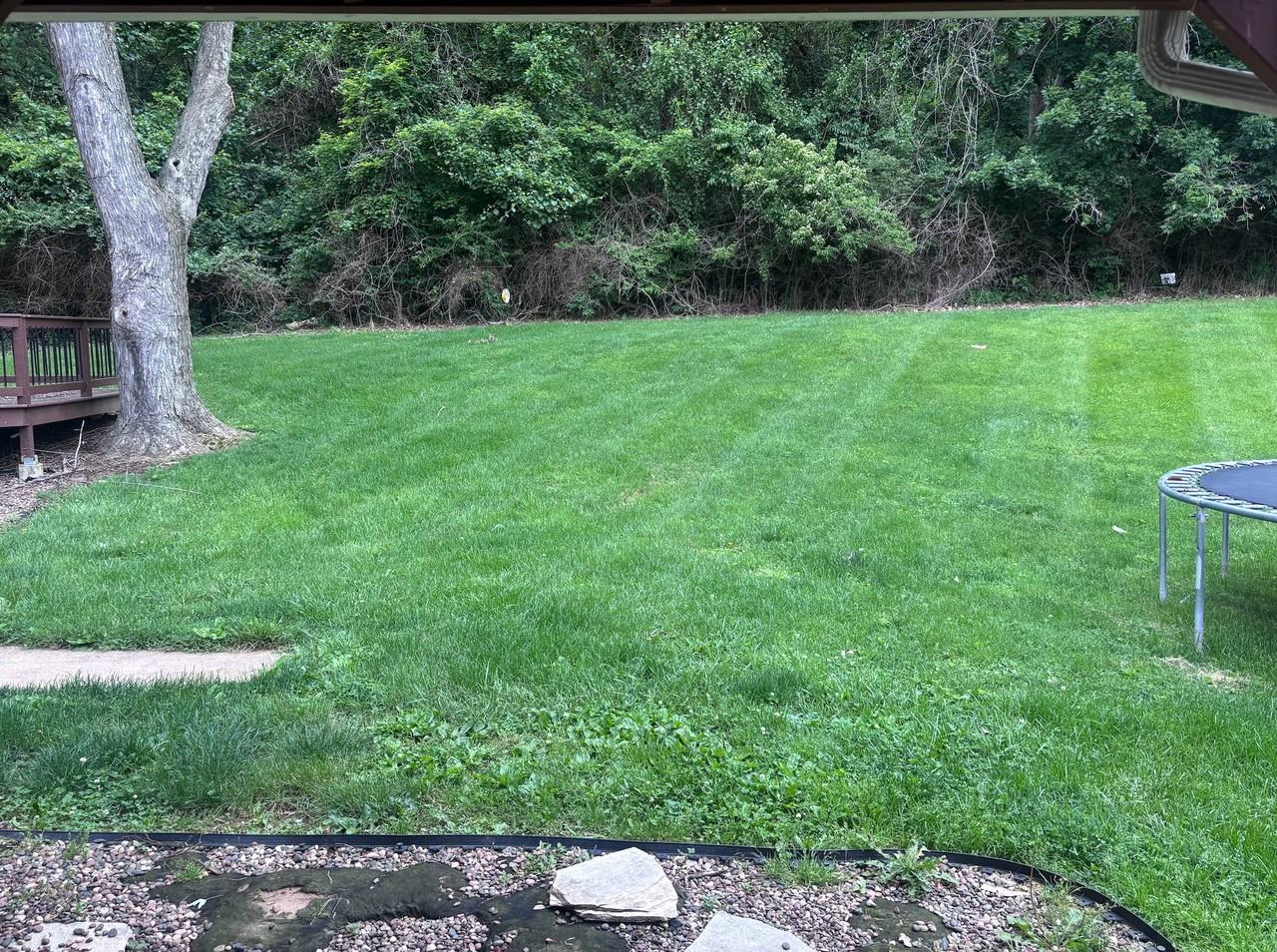 2813 Patti Ln - Photo 3 of 4