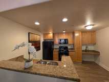 The Phoenician Collection - Photo 1 of 1