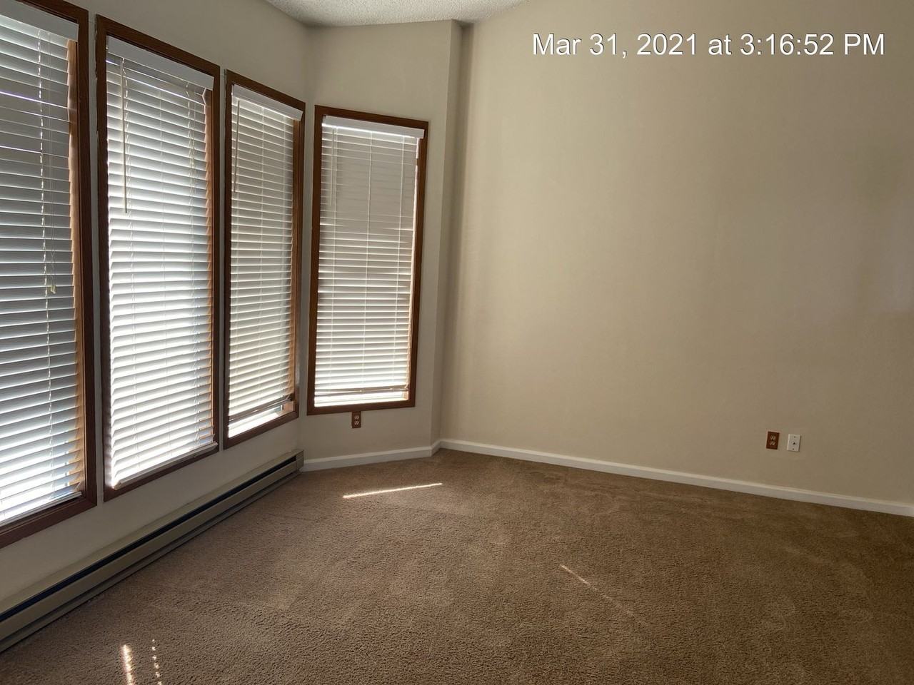 3503 E Clover Park Ave - Photo 5 of 23