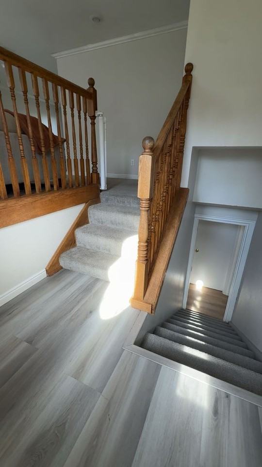 247 N Cove Dr - Photo 2 of 29