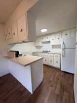 915 Carr St #203 - Photo 1 of 1