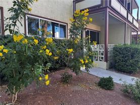 350 E Desert Inn Rd #C103 - Photo 1 of 1