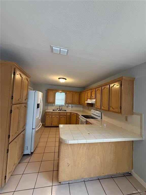 1104 E Business 83 - Photo 2 of 12