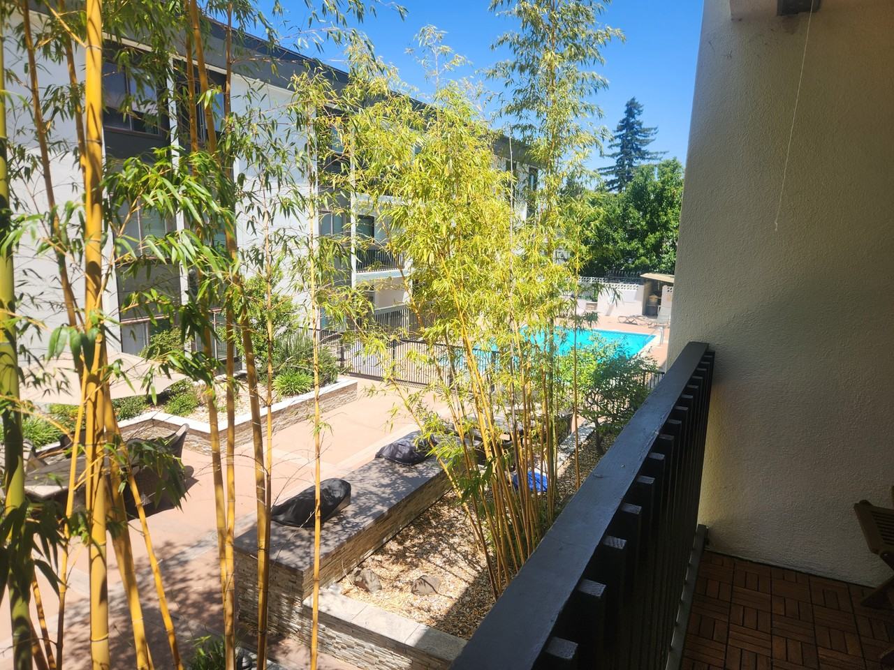 316 N El Camino Real #1 - Photo 5 of 21