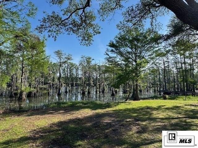 305 Raymond Dr - Photo 2 of 23