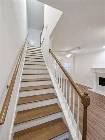 802 Carroll St - Photo 2 of 14