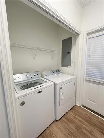 802 Carroll St - Photo 6 of 14