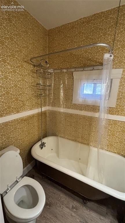 1507 N Nevada Ave #3 - Photo 4 of 9