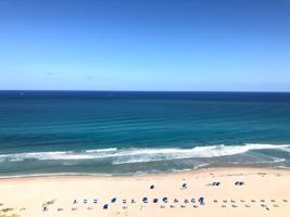featured image of 3000 N Ocean Dr #23E