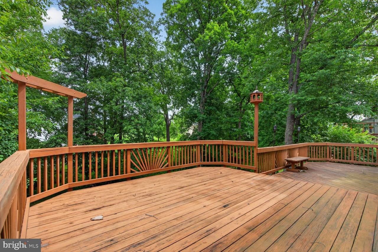 10545 Winged Elm Cir - Photo 3 of 27