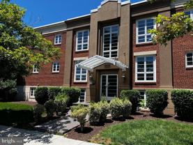 1219 Oronoco St ##101 - Photo 1 of 1