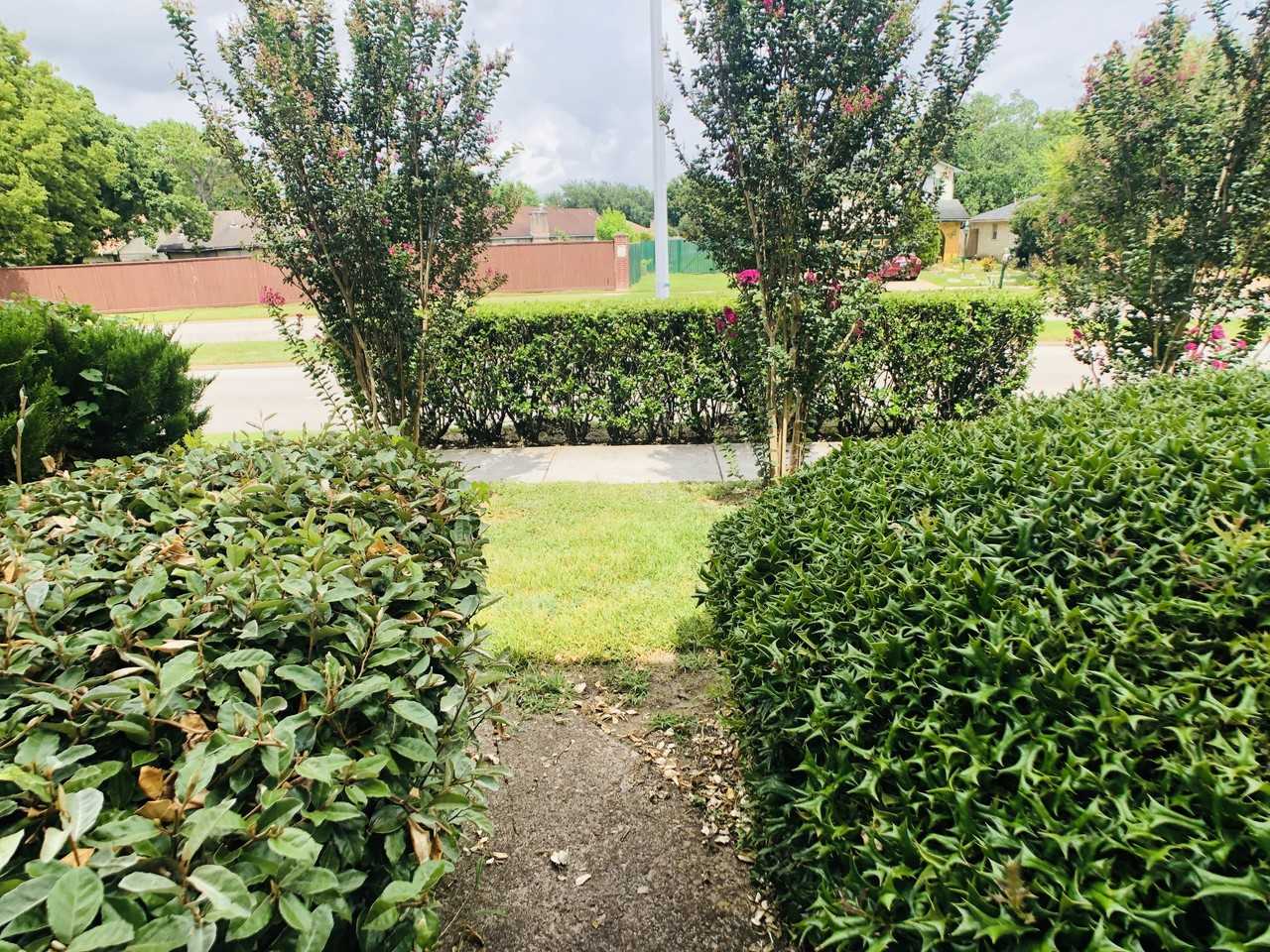 7009 Chasewood Dr - Photo 2 of 13