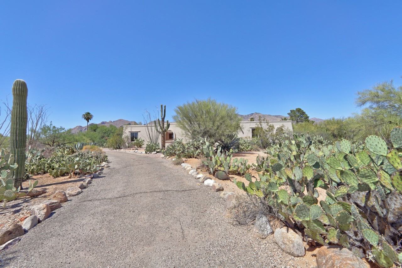 6109 N Zorrela Segundo - Photo 2 of 50