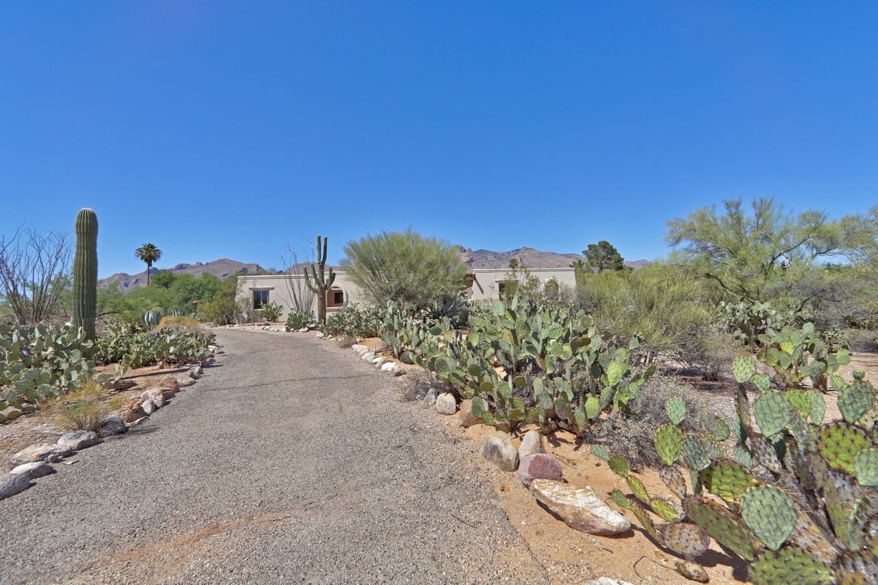 6109 N Zorrela Segundo - Photo 4 of 50