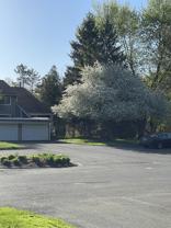 594 Mountain Rd #D - Photo 1 of 1