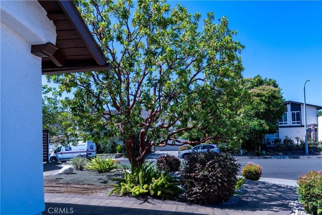 5445 Sunvalley Ct - Photo 2 of 36