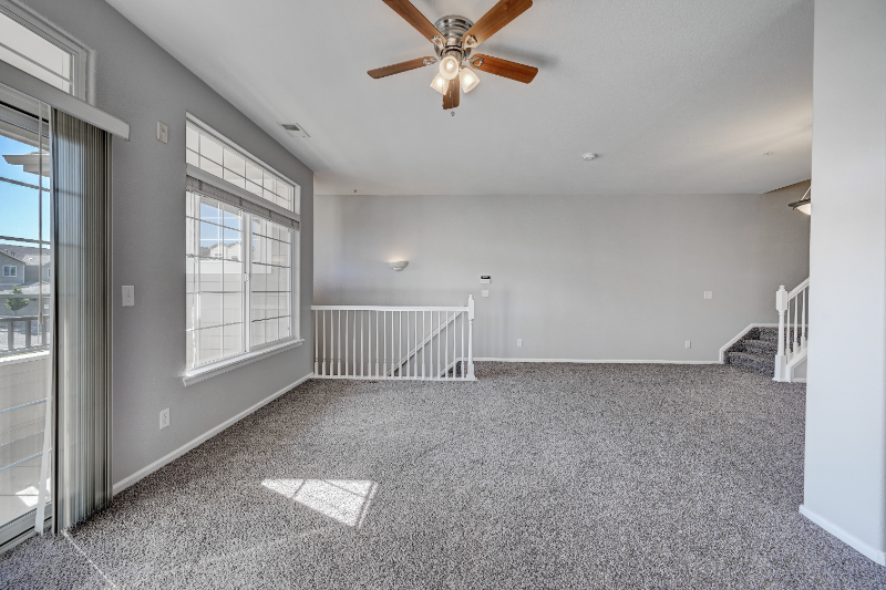 431 Black Feather Loop #813 - Photo 3 of 21