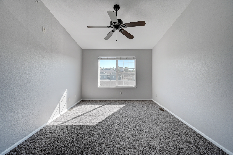 431 Black Feather Loop #813 - Photo 5 of 21