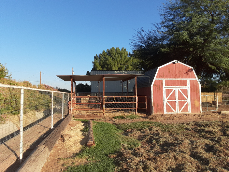 12532 East Vía De Palmas - Photo 3 of 8