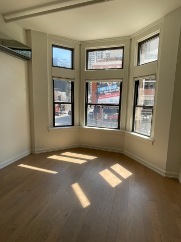 111 W Chicago Ave - Photo 2 of 12
