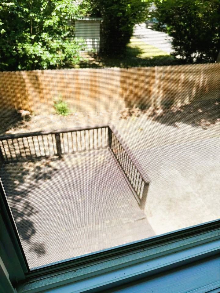 220 Bladen St - Photo 4 of 19