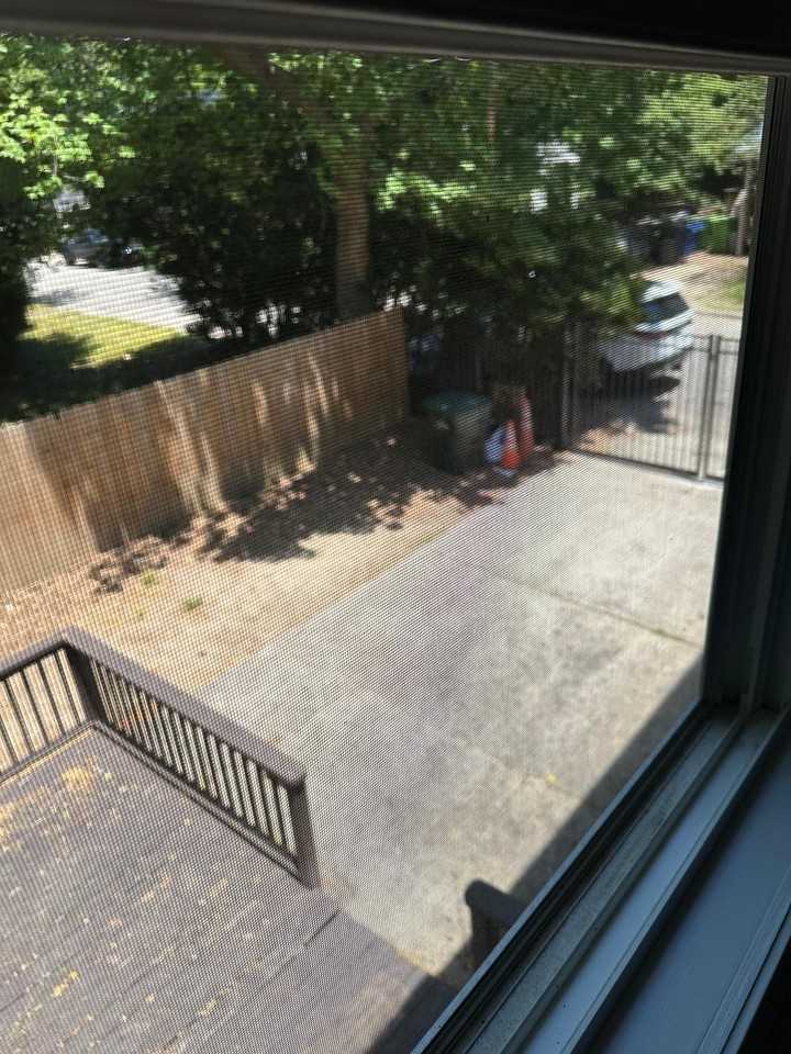 220 Bladen St - Photo 5 of 19