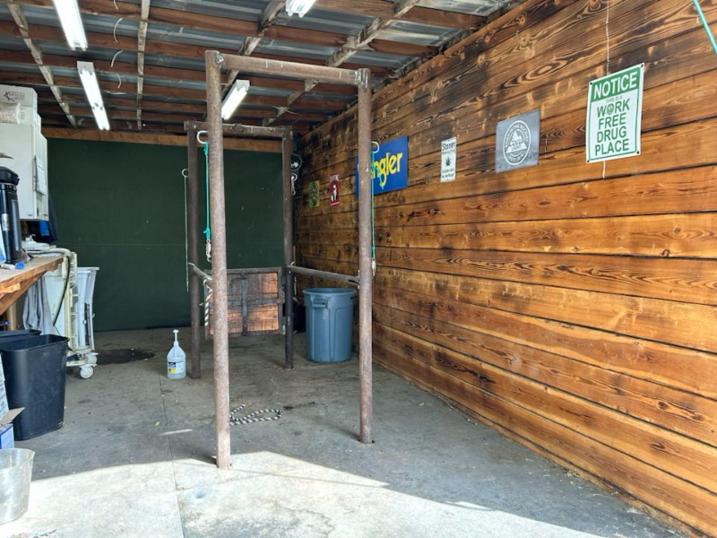 60 Ne - Photo 5 of 8