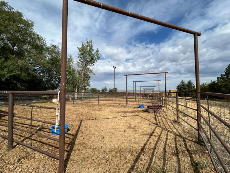 60 Ne - Photo 6 of 8