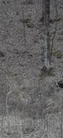 featured image of 17568 Elk Est #NA