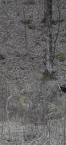 17568 Elk Est #NA - Photo 1 of 1