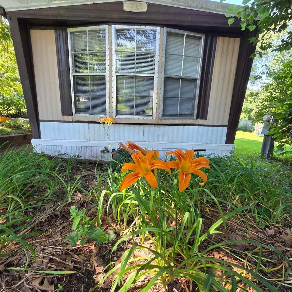 134 Coil Road - Photo 2 of 19