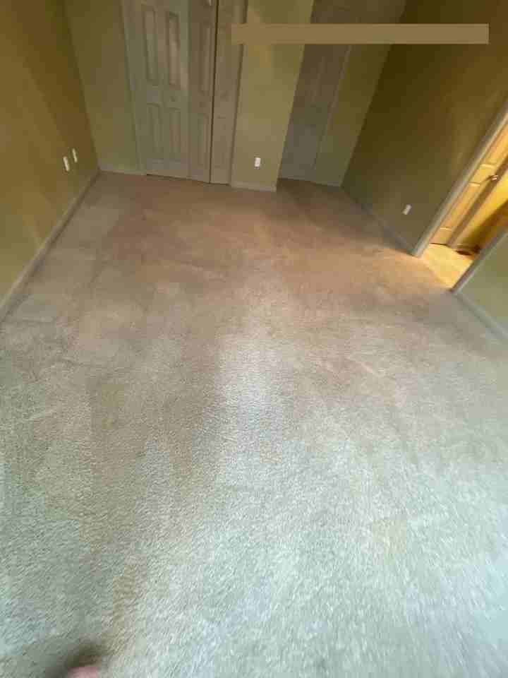 237 Wakefield Way - Photo 5 of 8