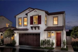 featured image of 103 Bright Poppy