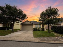 featured image of 331 Palma Noce