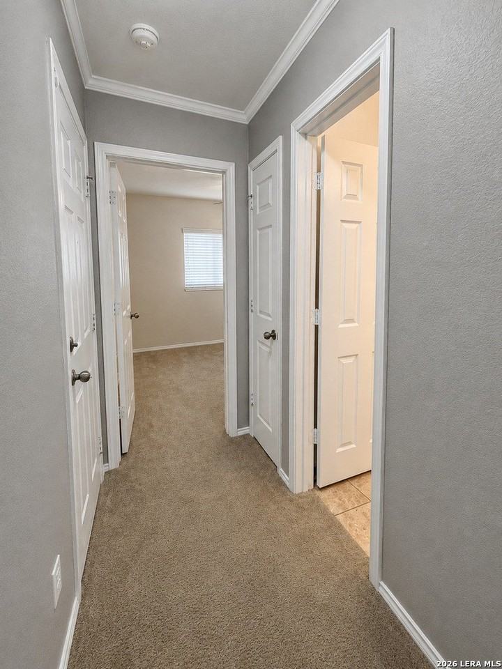 331 Palma Noce - Photo 5 of 32
