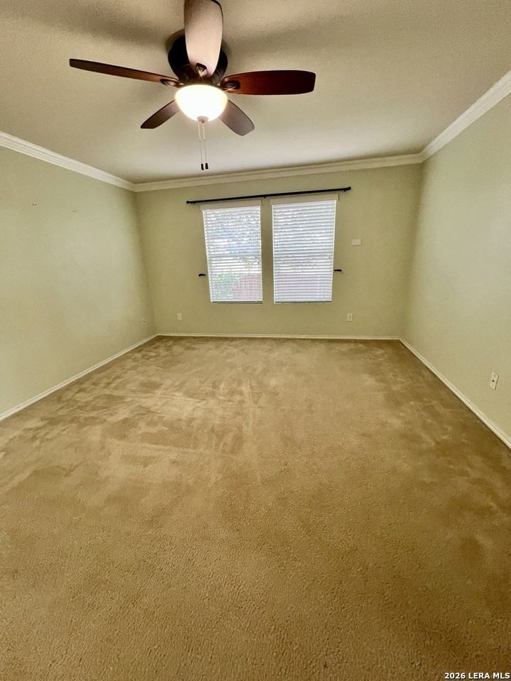 331 Palma Noce - Photo 6 of 32