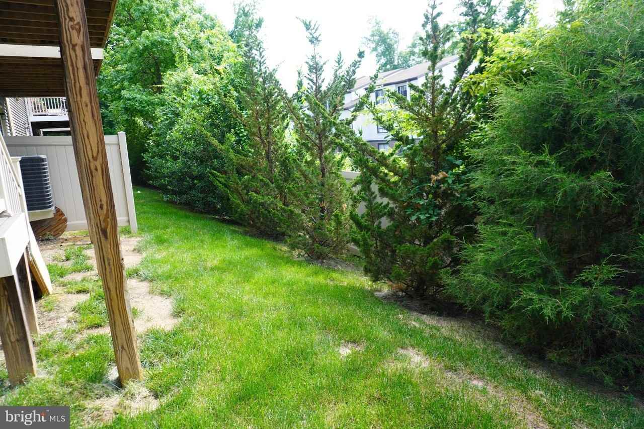 4510 Joseph Bristow Ln - Photo 6 of 38