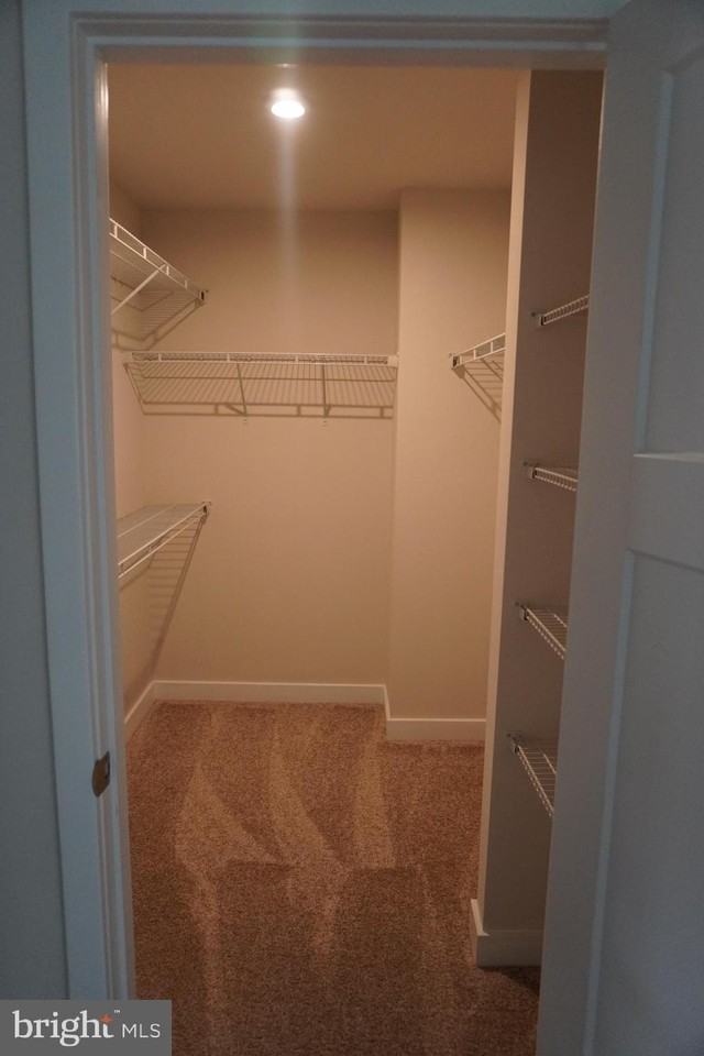 4510 Joseph Bristow Ln - Photo 7 of 38