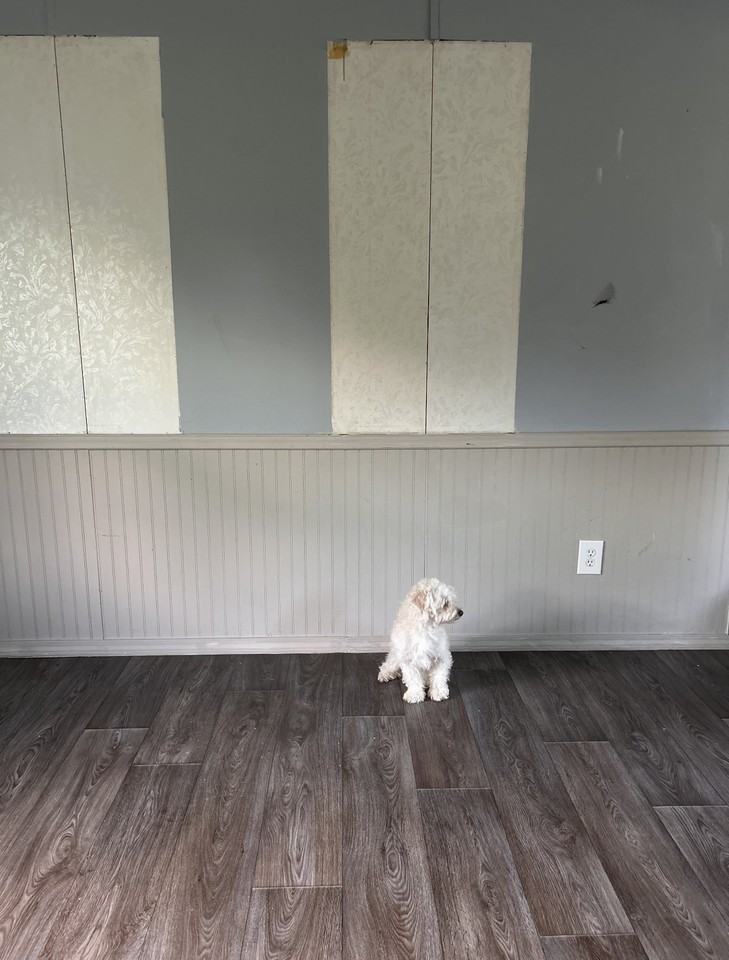 129 George Ln #1 - Photo 5 of 8