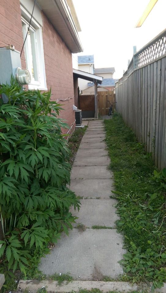 55 Hadden Cres - Photo 2 of 11