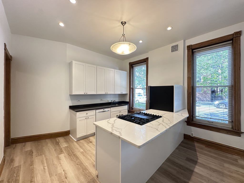 3559 N Ashland Ave #1R - Photo 3 of 21