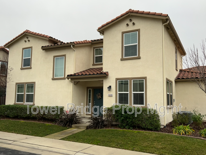 6436 Brando Loop