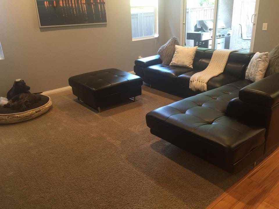 4509 Brandi Ln - Photo 5 of 14