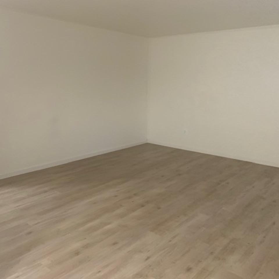 275 11th St #275 - Photo 3 of 15