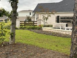 featured image of 5821 Dove Nest Rd #NA