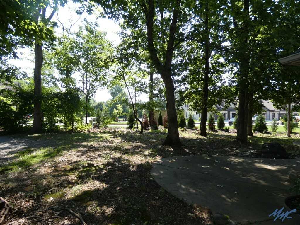 419 Conhocken Ct - Photo 4 of 40