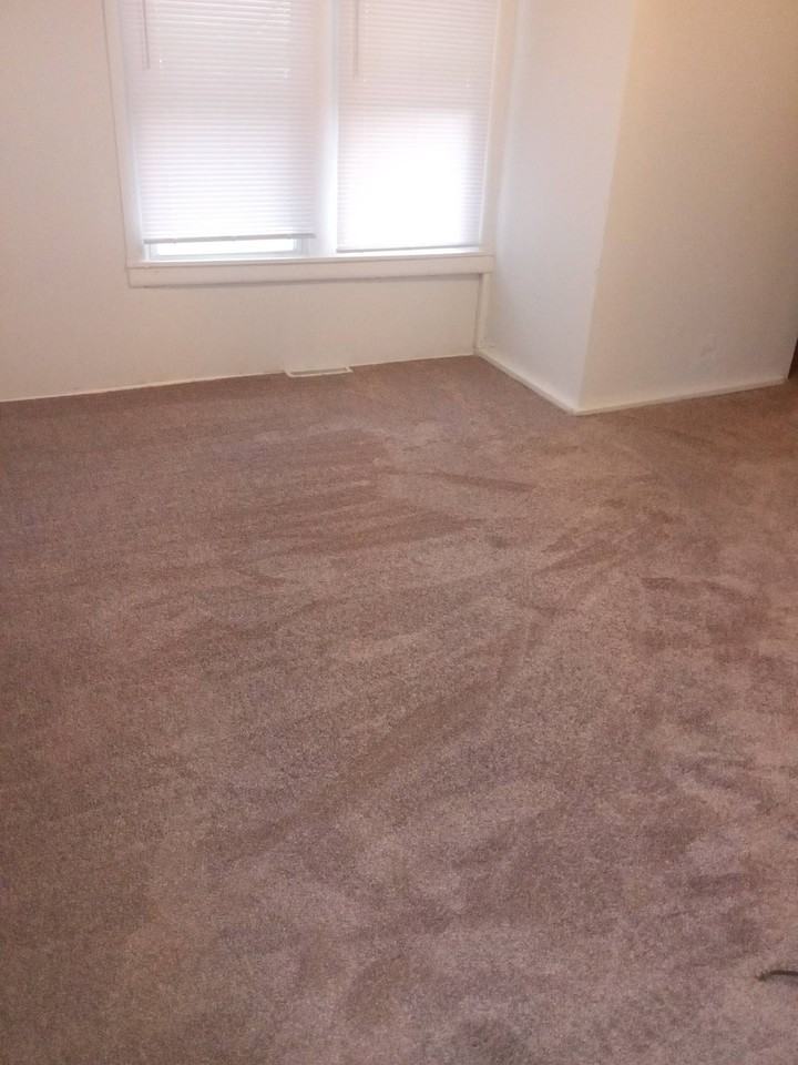 442 Central Avenue #1 - Photo 5 of 14